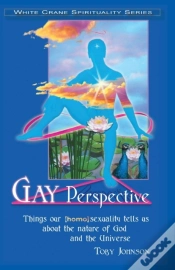 Capa do artigo Gay Perspective