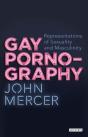Gay Pornography - Preview
