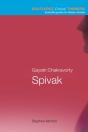 Gayatri Chakravorty Spivak - Preview