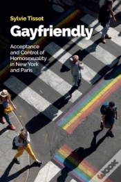 Capa do artigo Gayfriendly