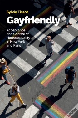 Capa do artigo Gayfriendly