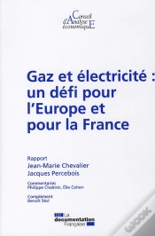 Capa do artigo Gaz Et Électricité : Un Défi Pour L