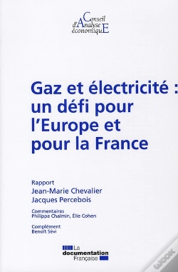 Capa do artigo Gaz Et Électricité : Un Défi Pour L'Europe Et Pour La France