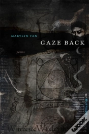 Capa do artigo Gaze Back