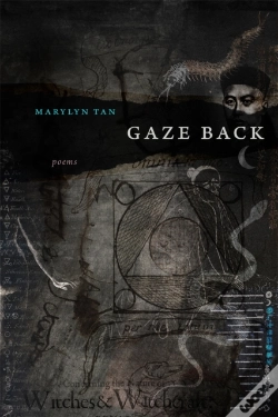 Capa do artigo Gaze Back