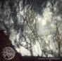Gazing Light Eternity - Vinil - Preview