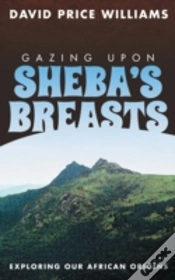 Capa do artigo Gazing Upon Sheba