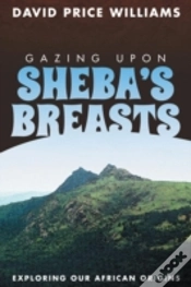 Capa do artigo Gazing Upon Sheba