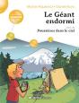 Geant Endormi - 10 Romans + Fichier - Preview