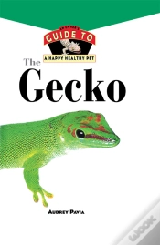 Capa do artigo Gecko