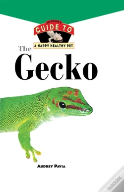 Capa do artigo Gecko