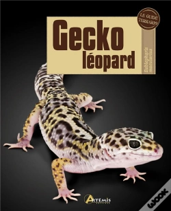 Capa do artigo Gecko Leopard