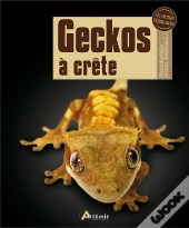 Geckos À Crête