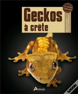 Capa do artigo Geckos À Crête