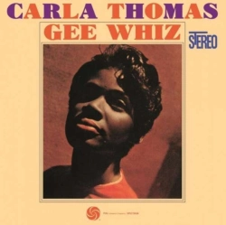 Capa do artigo Gee Whiz - Vinil