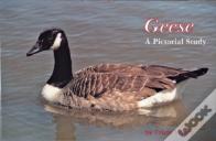 Geese