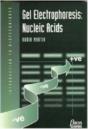 Gel Electrophoresis: Nucleic Acids - Preview