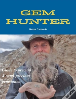 Capa do artigo Gem Hunter
