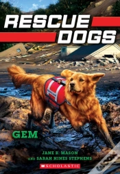 Capa do artigo Gem