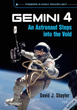 Capa do artigo Gemini 4
