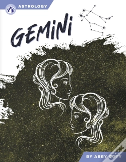 Capa do artigo Gemini