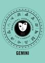 Gemini - Preview