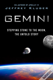 Capa do artigo Gemini