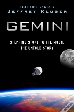 Capa do artigo Gemini
