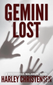 Capa do artigo Gemini Lost