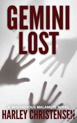 Capa do artigo Gemini Lost