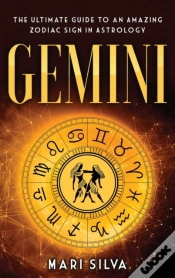Capa do artigo Gemini