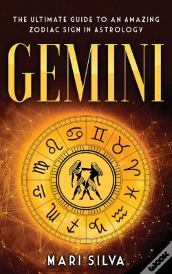Capa do artigo Gemini