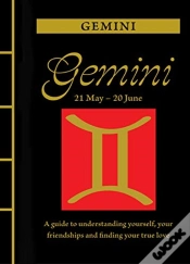 Capa do artigo Gemini