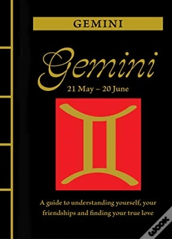 Capa do artigo Gemini