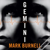 Capa do artigo Gemini