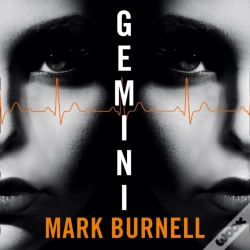 Capa do artigo Gemini