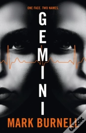 Capa do artigo Gemini