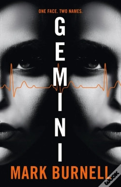 Capa do artigo Gemini