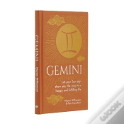 Capa do artigo Gemini