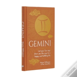 Capa do artigo Gemini