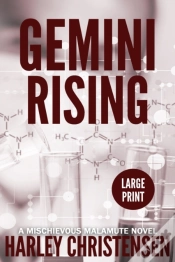 Capa do artigo Gemini Rising
