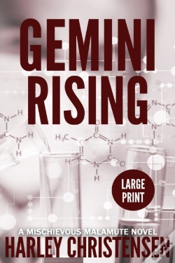 Capa do artigo Gemini Rising