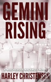Gemini Rising