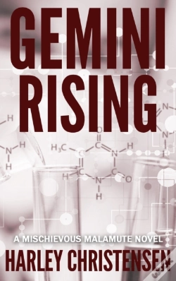 Capa do artigo Gemini Rising