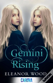 Capa do artigo Gemini Rising