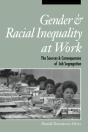 Gender And Racial Inequality At Work - Preview