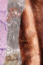 Gender City - Preview
