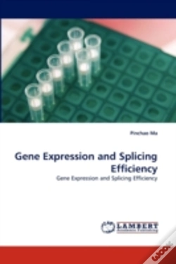 Capa do artigo Gene Expression And Splicing Efficiency