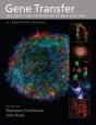 Gene Transfer - Preview