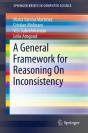General Framework For Reasoning On Inconsistency - Preview